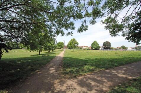 IMG_8713 park.jpg
