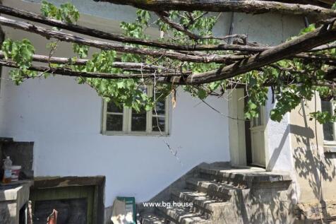 Concrete steps lead to a door on the house exterior with a grapevine trellis overhead.