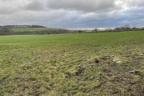 Photo 09-12-2024, 14 33 19.jpg