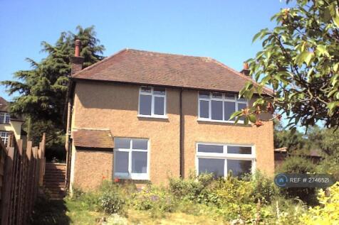 Rear Elevation