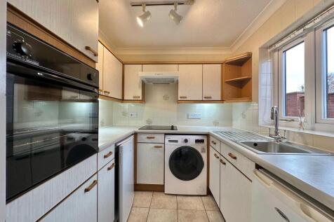 IMG_1497.jpg