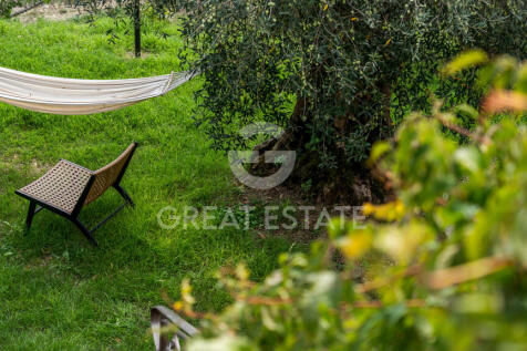 Panorama e Particolari