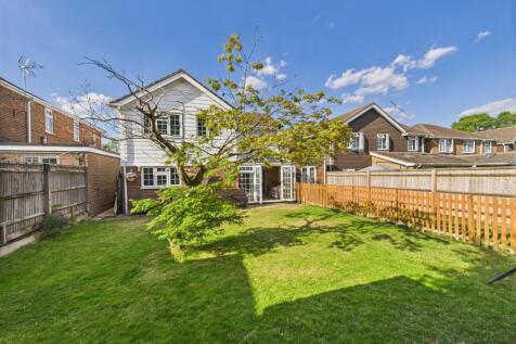 CAM01354G0-PR0558-STILL031