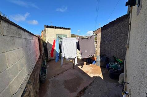 Rear Yard (edit).jpg