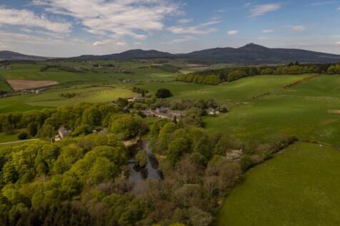 View To Bennachie