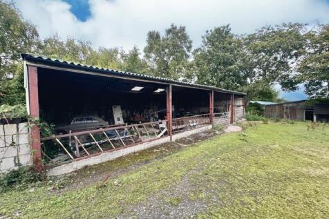 PHOTO-2025-09-19-15-49-41 (26).jpg