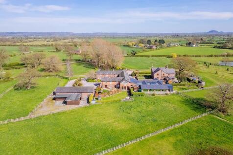 The Paddocks