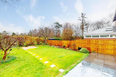 Rowton Road 77 Rear Garden 2024.jpg