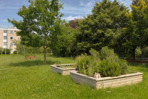 Communal Gardens
