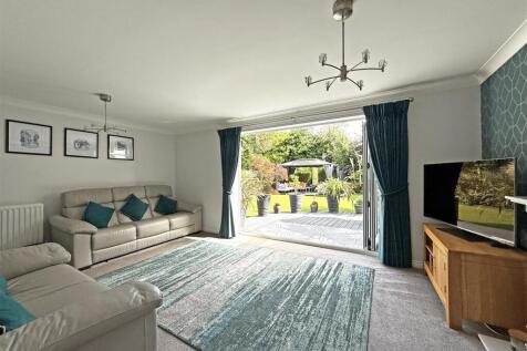 IMG_5430.jpg