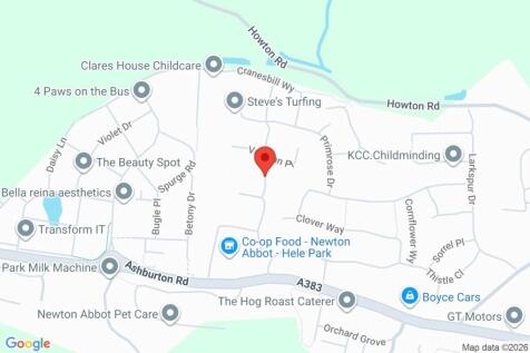 Google Maps Image