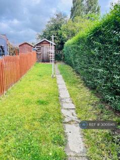 Back Garden 