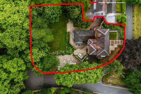 The Green House-drone-3.jpg