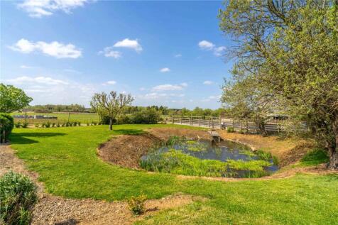Pond