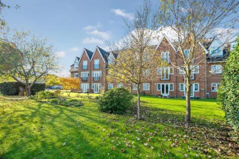 Back of Development 2.jpg