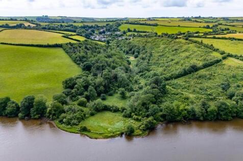 A29 - Charleycombe Wood Cornworthy - 260605.jpg