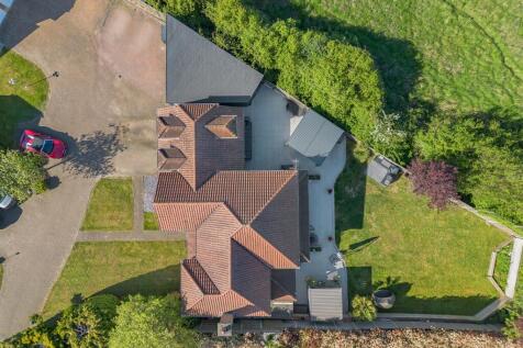 38_79800.jpg