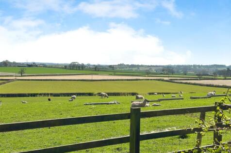 a2d6ef2f-image_picker_CD34B589-F273-46B1-AD11-0907