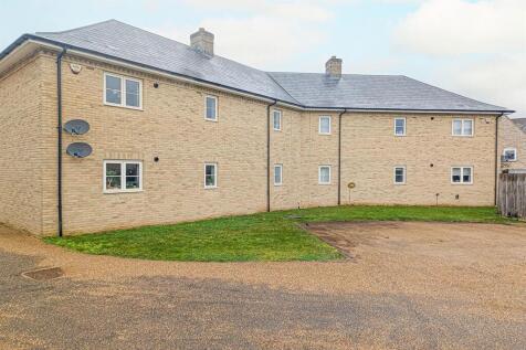 PXL_20260213_111716917.RAW-01 back.jpg