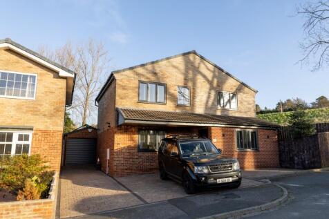 Poplar-35