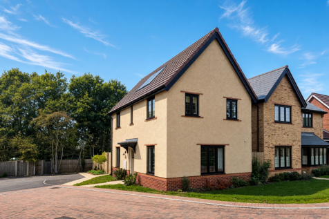 Black-Sheep_Columbine_lettings_summer_14.jpg