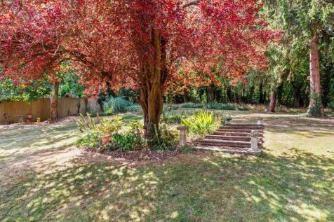 Property Image 24