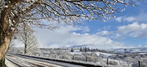 snow 6.jpg