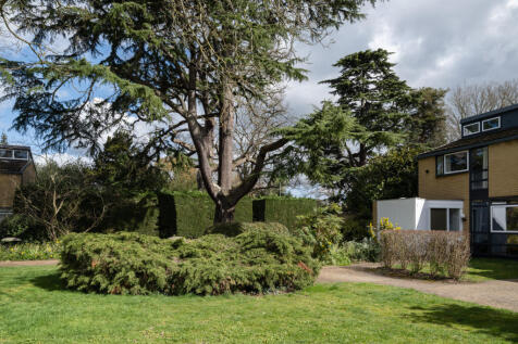 335355 - 21CastleGreenWeybridge_HighRes-37.jpg