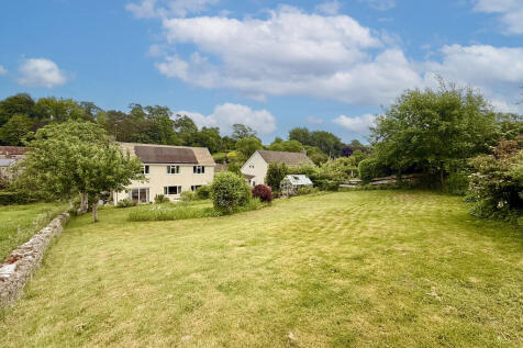 Back Garden