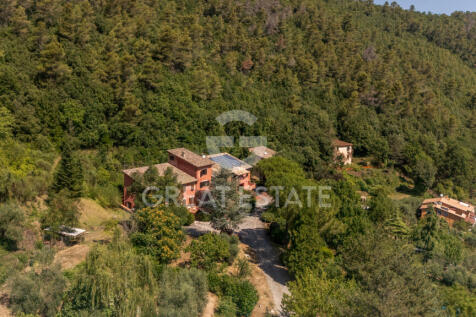 Panorama e Particolari