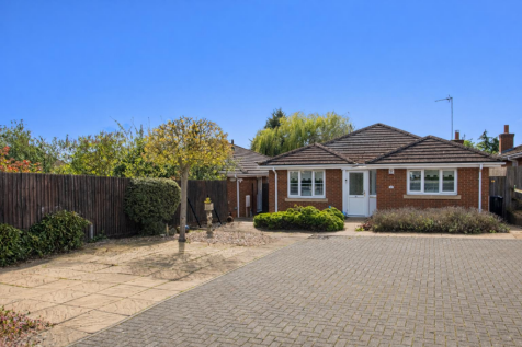 Sunny bungalow with a tree in view.png