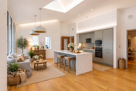 Living room kitchen