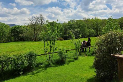 Field from Nant garden.jpg