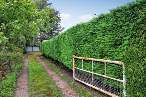 Drive to Double Garage.JPG