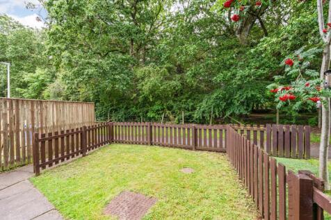 Back Garden