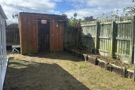 Back garden