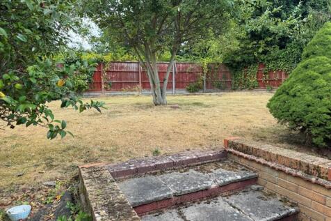 garden pic 2