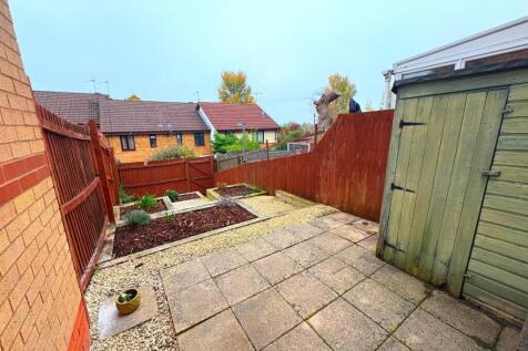 Back Garden