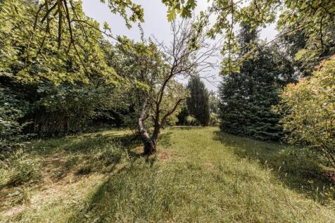 Rear Garden (7)