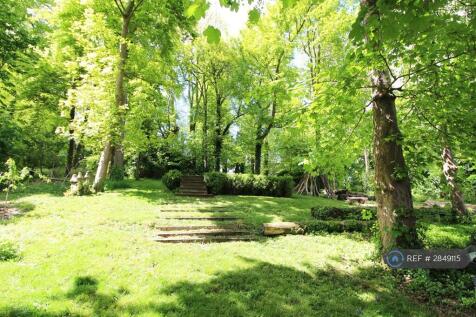 Rear Garden View 4