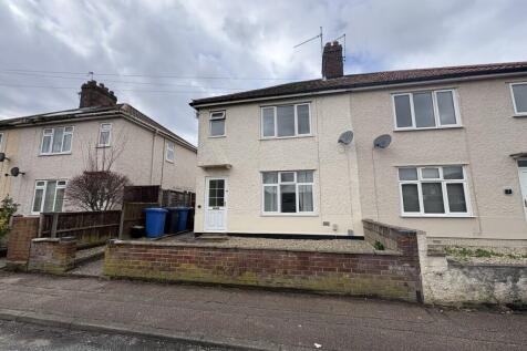 2  Medium  T202602191644.jpg