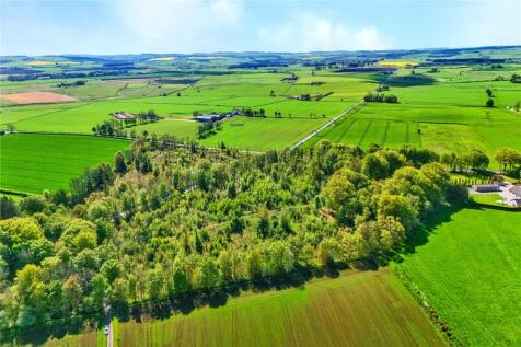 Aerial Image