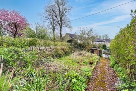 2- Front Garden