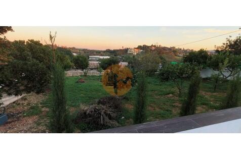 Garden#Loulé#Algarve#CasasdoSotaventoOlhão
