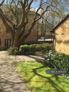 Shared Garden 2 