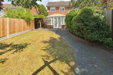 Back Garden.jpg