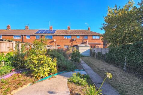 Back Garden
