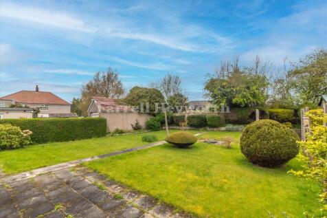 Rear Garden image 3