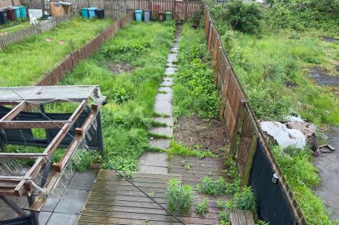 Back garden