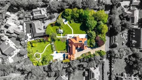 Aerial Shot